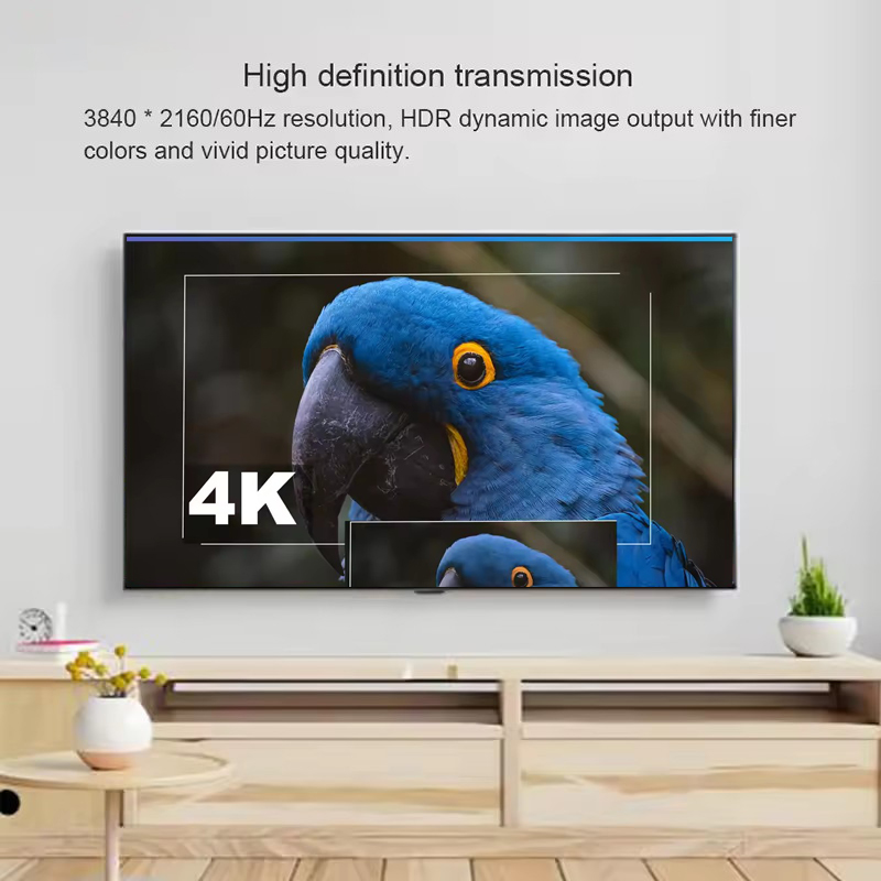 4K 60Hz DisplayPort To HDMI Ex - Hdmi Cable review and price